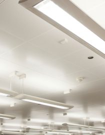 Lupus and Fluorescent Lights: Can Indoor Lighting Affect My Lupus?